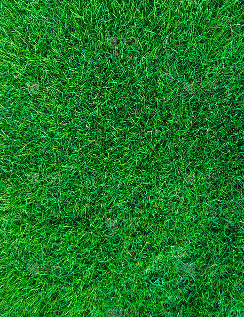 Recreational football turf - 图片 3