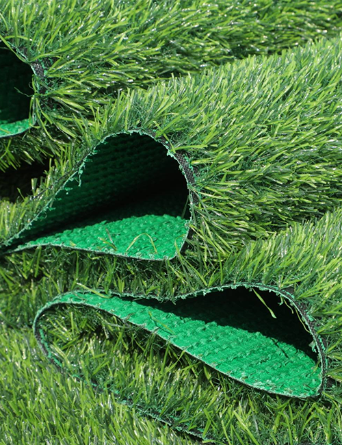 leisure grass - 图片 3