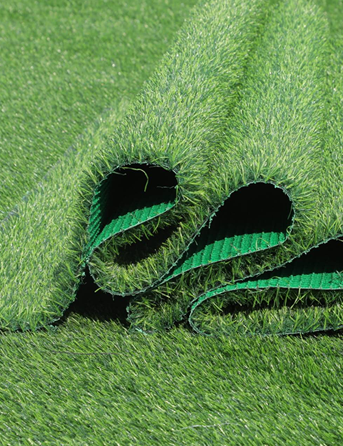 leisure grass - 图片 4