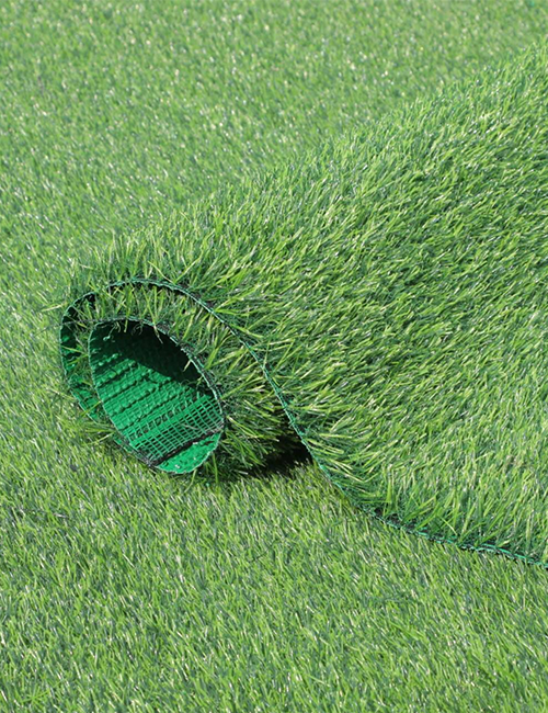 leisure grass - 图片 5