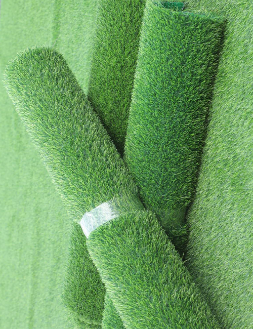 leisure grass - 图片 6